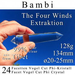 Bambi 24 Facet Vogel Cut Phi Crystal The Four Winds Extraction