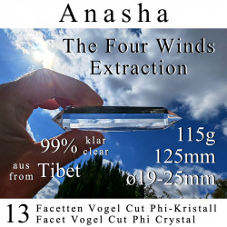 Anasha 13 Facet Vogel Cut Phi Crystal The Four Winds Extraction