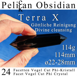 Pelikan Obsidian 24 Facetten Vogel Cut Phi-Kristall Terra X