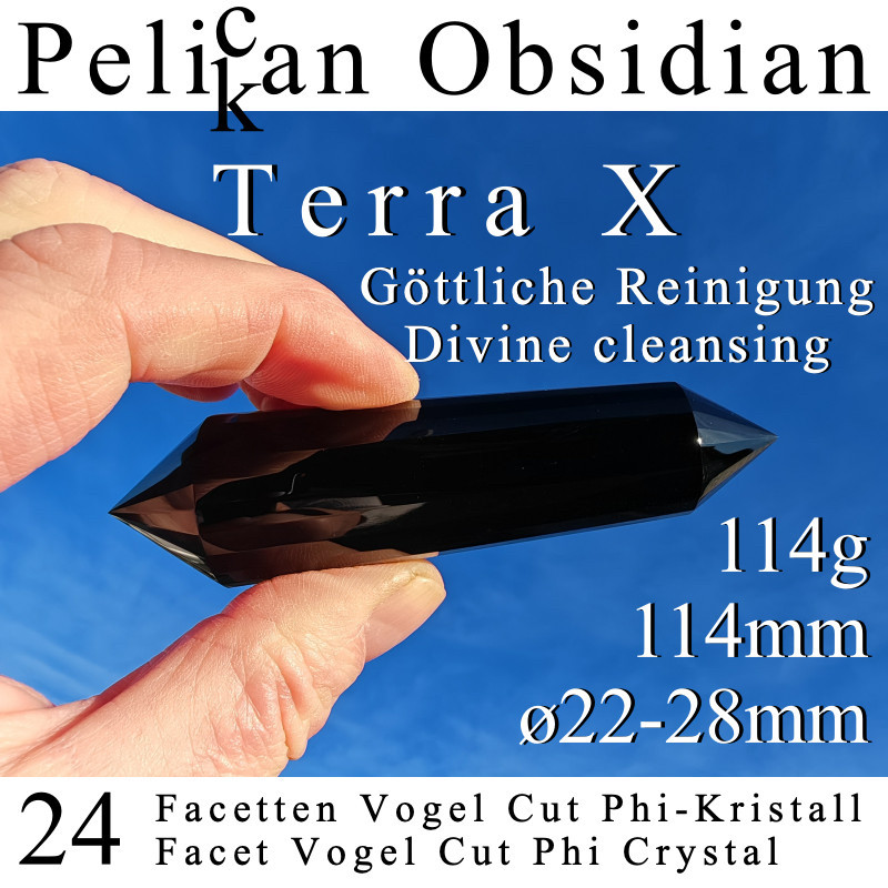 Pelikan Obsidian 24 Facetten Vogel Cut Phi-Kristall Terra X