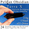 Pelikan Obsidian 24 Facetten Vogel Cut Phi-Kristall Terra X