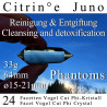Citrine 24 Facet Vogel Cut Phi-Crystal Juno