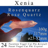 Rosenquarz 24 Facetten Vogel Cut Phi-Kristall Xenia