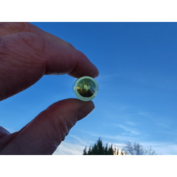 Citrin 24 Facetten Vogel Cut Phi-Kristall Irisa