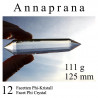 Annaprana 12 Facet Phi Crystal