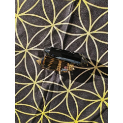 Divine cleansing of very low-vibrating energies within us.