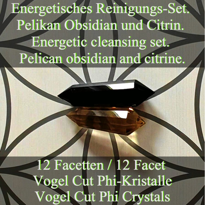Energetisches Reiniguns-Set. Pelikan Obsidian und Citrin 12 Facetten Vogel Cut Phi-Kristalle