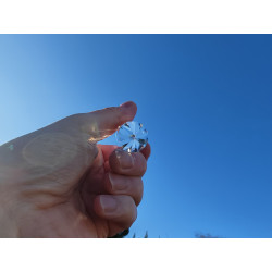 12 Facet Vogel Cut Phi Crystal Smarga