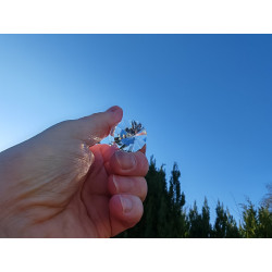 Taranaki 13 Facet Vogel Cut Phi Crystal The Four Winds Extraction