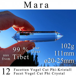 Mara 12 Facetten Vogel Cut Phi-Kristall