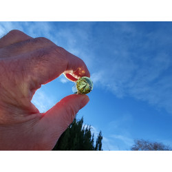 Citrine 24 Facet Vogel Cut Phi-Crystal Amelia