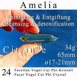 Citrin 24 Facetten Vogel Cut Phi-Kristall Amelia