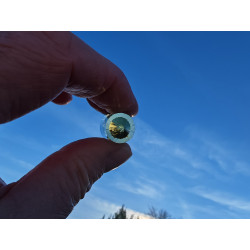 Citrine 24 Facet Vogel Cut Phi-Crystal Chamuel