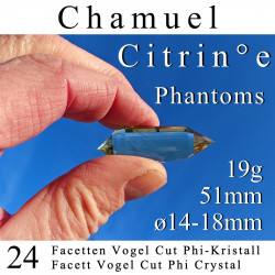Citrin 24 Facetten Vogel Cut Phi-Kristall Chamuel