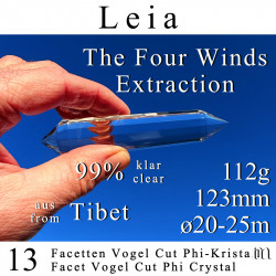 Leia 13 Facetten Vogel Cut Phi-Kristall The Four Winds Extraktion