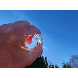 Surim 12 Facet Vogel Cut Phi Crystal