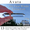 Avata 13 Facetten Vogel Cut Phi-Kristall The Four Winds Extraktion
