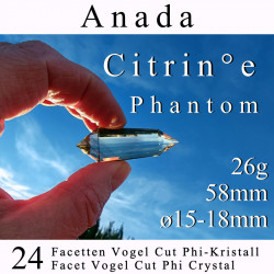 Citrin 24 Facetten Vogel Cut Phi-Kristall Anada
