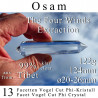 Osam 13 Facetten Vogel Cut Phi-Kristall The Four Winds Extraktion
