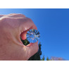 Melchizedek 13-20-33 Facet Vogel Cut Phi Crystal with blue rutiles