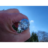 Elohim Lumina 12 Portale 21-12-33 Facetten Vogel Cut Phi-Kristall