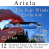 Ariela 12 Facet Vogel Cut Phi Crystal The Four Winds