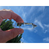 Seraph 13 Facet Vogel Cut Phi Crystal