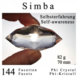 Self-awareness144 Facet Phi Crystal Simba