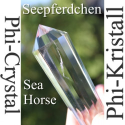 Seepferdchen 13 Facetten Phi-Kristall