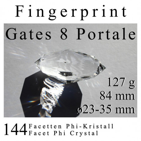 Fingerprint 144 Facet Phi Crystal