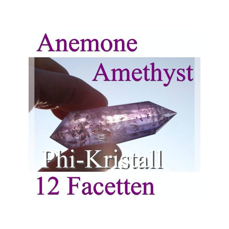 Amethyst Phi-Kristall Anemone