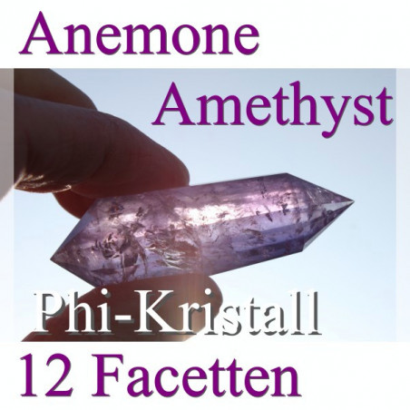 Amethyst Phi Crystal Anemone