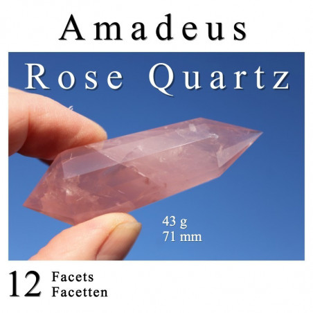 Amadeus 12 Facetten