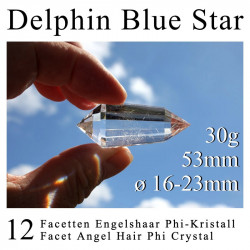 Delphin Blue Star 12 Facetten Phi-Kristall Engelshaar Rutile