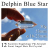 Delphin Blue Star 12 Facet Phi Crystal Angel Hair Rutile