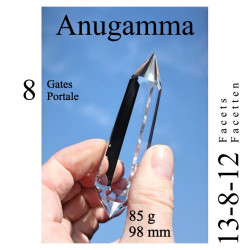 Anugamma 8 Gate Phi Crystal