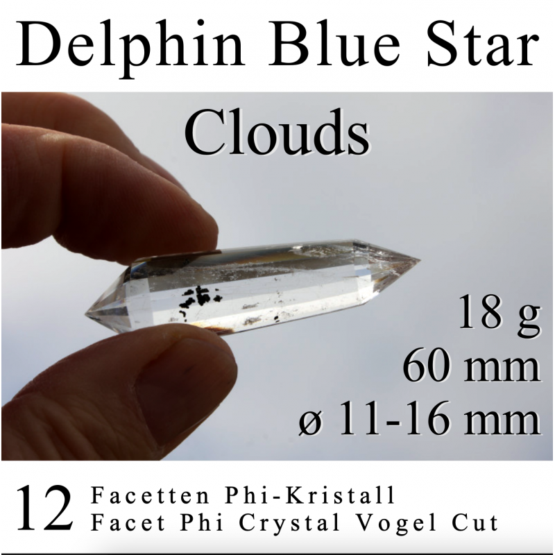 Delphin Blue Star 12 Facetten Phi-Kristall Wolken Einschlüsse Vogel Cut