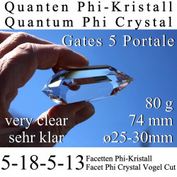 Quanten Phi-Kristall 5 Portale 80 g Vogel Cut
