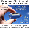 Quantum Phi Crystal Extraction Transformation Vogel Cut