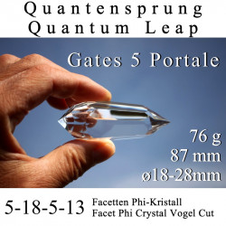Quantensprung Phi-Kristall 76g Vogel Cut