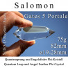 Salomon Quantum Leap and Angel Feather Phi Crystal Vogel Cut
