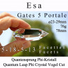 Esa Quantum Leap 5 Gate Phi Crystal Vogel Cut