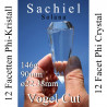 Sachiel 12 Facetten Phi-Kristall Solana Vogel Cut