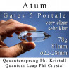 Quantensprung 5 Portale Phi-Kristall Atum Vogel Cut