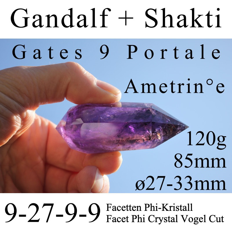 Ametrin Gandalf + Shakti 9 Portale Phi-Kristall Vogel Cut