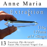 Anne Maria 13 Facetten Phi-Kristall Extraktion Vogel cut