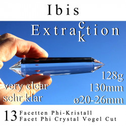 Ibis 13 Facetten Phi-Kristall Extraktion Vogel Cut