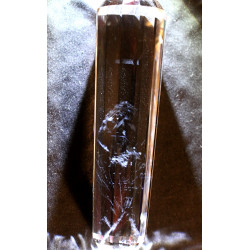 Gaia 13 Facet Phi Crystal Angel Feather