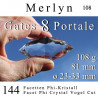 Merlyn 144 Facetten Phi-Kristall 108g Vogel Cut Transformation
