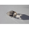 Vogel Cut Merlyn der Barde Rauchquarz 144 Facetten Phi-Kristall